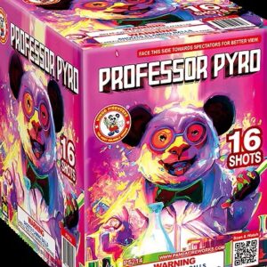 PROFESSOR PYRO